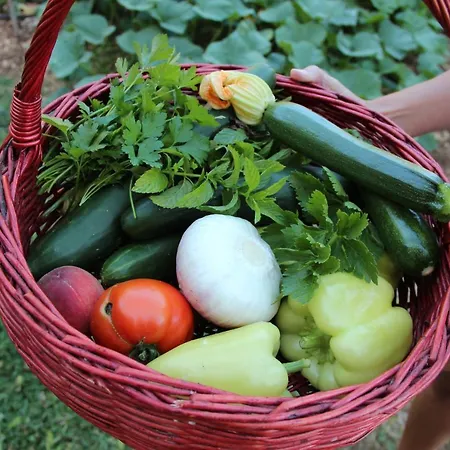 Casa vacanze Kameni Dvori - Family Near Dubrovnik *