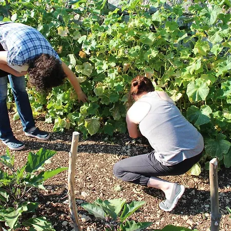 Kameni Dvori - Family Near Dubrovnik Σπίτι διακοπών *
