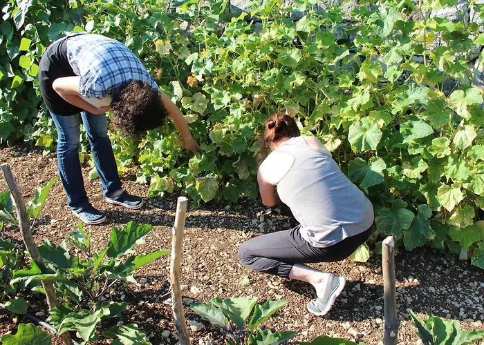 Kameni Dvori - Family Near Dubrovnik Сasa de vacaciones *
