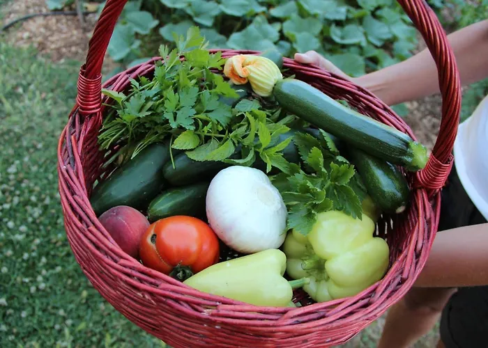 Сasa de vacaciones Kameni Dvori - Family Near Dubrovnik *